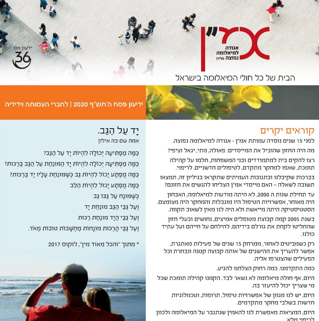 תמונה דקורטיבית