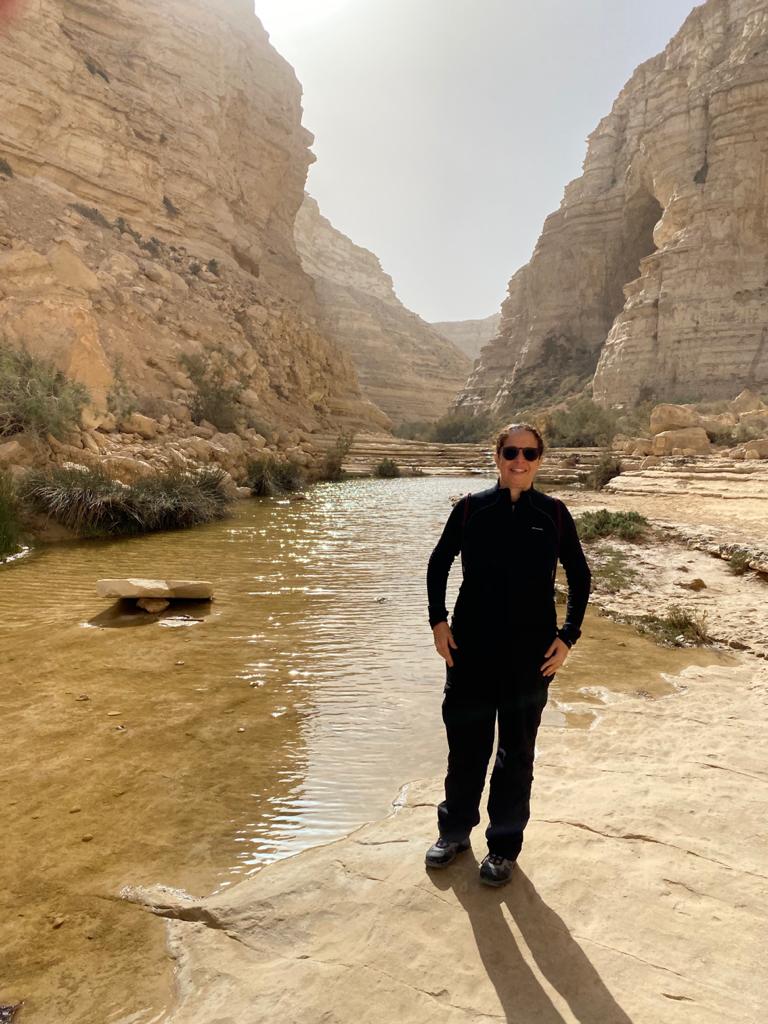 תמונה דקורטיבית