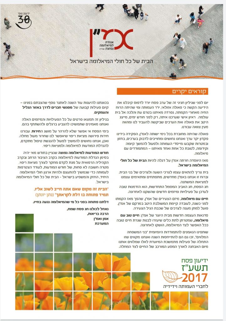 תמונה דקורטיבית