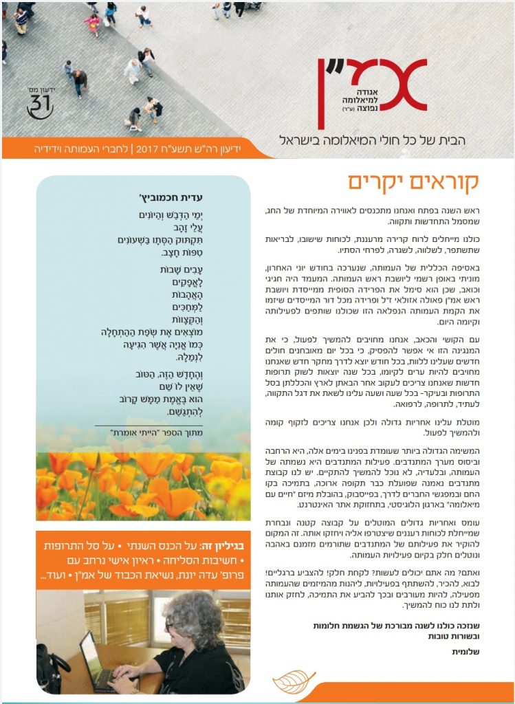 תמונה דקורטיבית