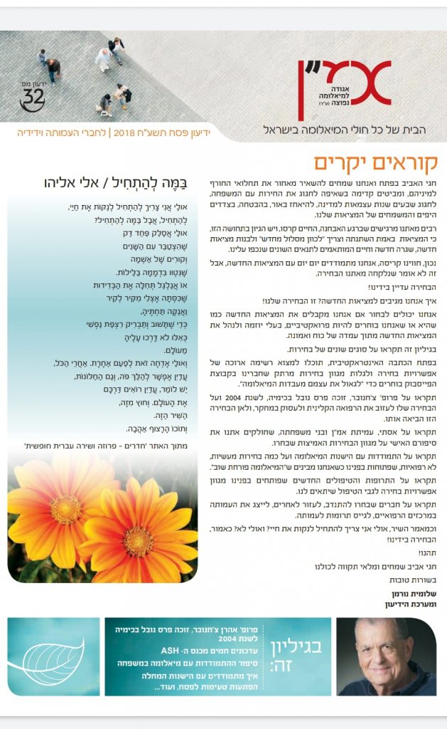 תמונה דקורטיבית
