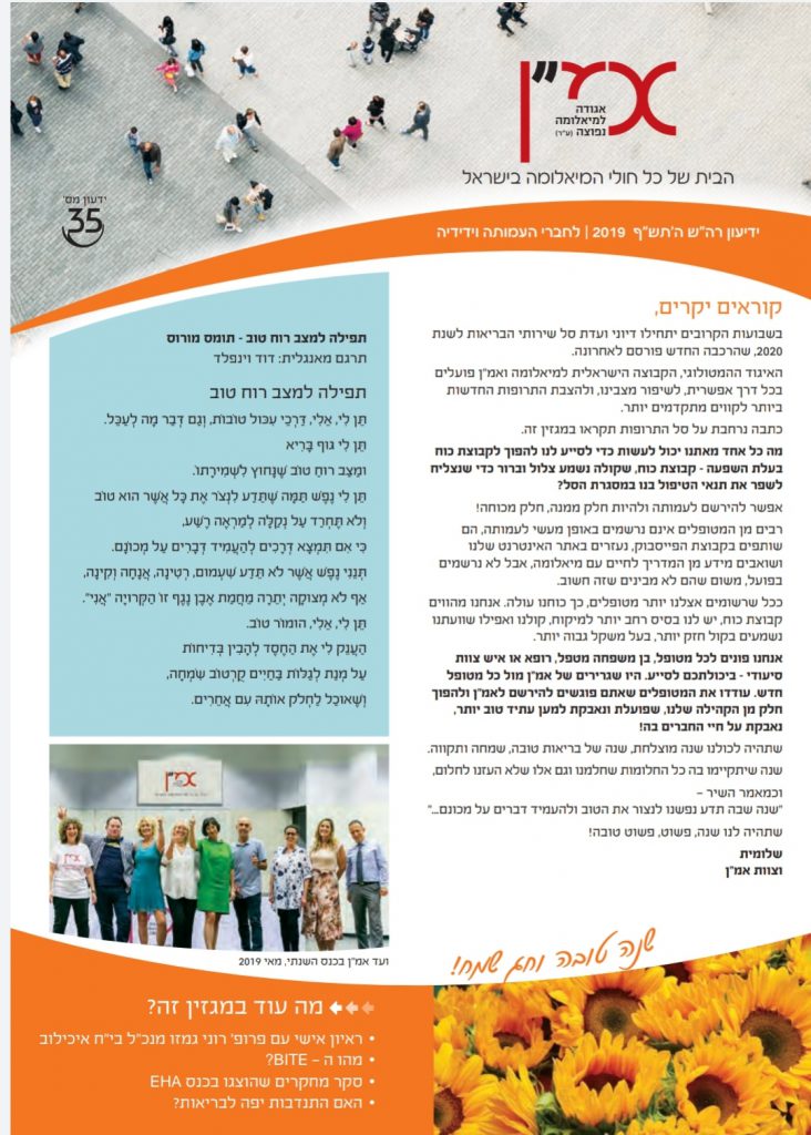 תמונה דקורטיבית