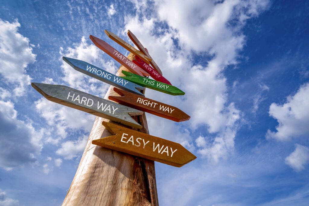 תמונה דקורטיבית