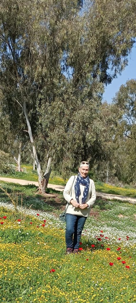 תמונה דקורטיבית