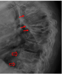 תמונה דקורטיבית